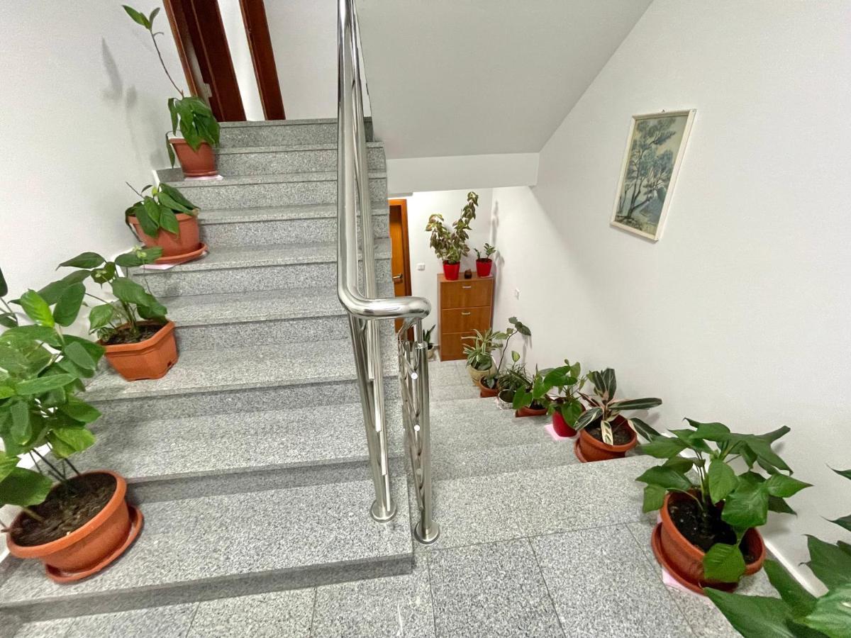 Apartments Boreta Becici Будва Екстер'єр фото